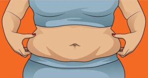 Stomach Fat R